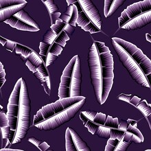 Exotic Purple Banana Leaves Seamless Tropical Pattern Plants In Monochromatic Color Style On Pastel Background. Fashionable Print Texture. Vector Design. Summer Themed Design. Nature Wallpaper