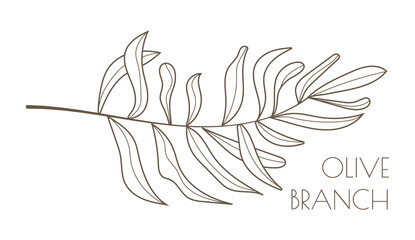 Wall Mural - Olive branch vector in doodle, sketch style. Ink, pencil hand drawn olive tree, leaves for wrapper pattern, logo, frame or border.