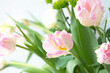 tender light rosy pink tulips bouquet on the window close up selective focus defocused
