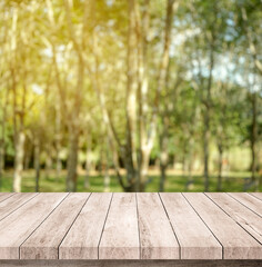 Wall Mural - Old wood plank with abstract rubber plantation blurred background for product display