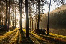 Camping And Tent Under The Pine Forest In A Beautiful Morning With Beams Of Sunlight Pierce Through The Forest At Pang Ung Lake In Mae Hong Son, North Of Thailand.