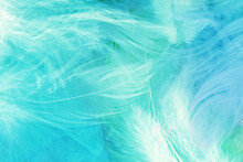 Blue Feathers Background - High Resolution