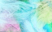 Colorfully Feathers Background - High Resolution