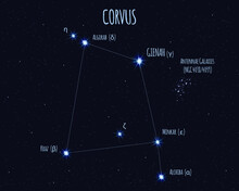 Corvus (The Raven) Constellation, Vector Illustration With The Names Of Basic Stars Against The Starry Sky
