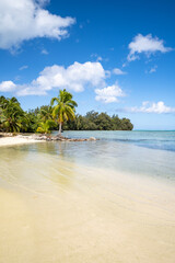 Wall Mural - summer vacation on a tropical island