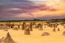 The Pinnacles Is A Landmark Consisting Of Weathered Limestone Pillars And Can Be Seen In The Pinnacles Desert A Part Of Nambung National Park 
