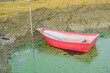 A small red fiberglass boat floats on the bank of the garden