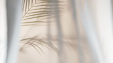 Palm Leaves Shadow On Beige Background, Freeze Motion
