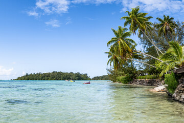 Wall Mural - summer vacation on a tropical island