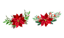 Red Poinsettia Flower Set. Christmas Decorations With Beautiful Flower, Fir Tree Branches And Holly Vector Illustration