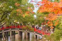 Tokyo, Japan - December 07 2019: Japanese Momiji Autumn Leaves In Front Of The Red Taiko Bashi Bridge Of Dazaifu Shinto Shrine Crossed Over By A Group Of Tourists Above A Pond.