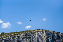 An Eagle Flies Over The Gorges Du Verdon In Europe, France, Provence Alpes Cote DAzur, Var, In Summer, On A Sunny Day.
