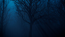Trees In Haunted Forest. Halloween Background.