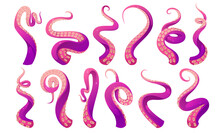 Tentacles Of Octopus, Squid Or Kraken. Vector Cartoon Set Of Scary Sea Monster Arms, Purple And Pink Giant Octopus Tentacles With Suckers. Cthulhu Hands And Legs Isolated On White Background