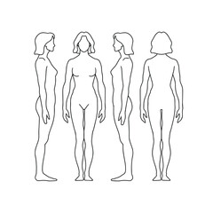 woman body figure from different angles anatomical diagram side view right view back view front view