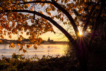 Wall Mural - Silhouette of a tree bent over a river with a small castle ruin in the background. Yellow and orange leaf illuminated by rising morning sun. Warm tones. Calm and tranquil mood. Galway, Ireland.