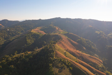 Aerial top view of forest trees and green mountain hills. Nature landscape background, Thailand.