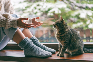 Wall Mural - A girl in a sweater and woolen socks stretching out her hands to a gray kitten while sitting on a windowsill on a snowy winter day