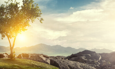 Wall Mural - Image of tree and landscape