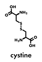 Poster - Cystine molecule. Oxidized dimer of the amino acid cysteine. Skeletal formula.