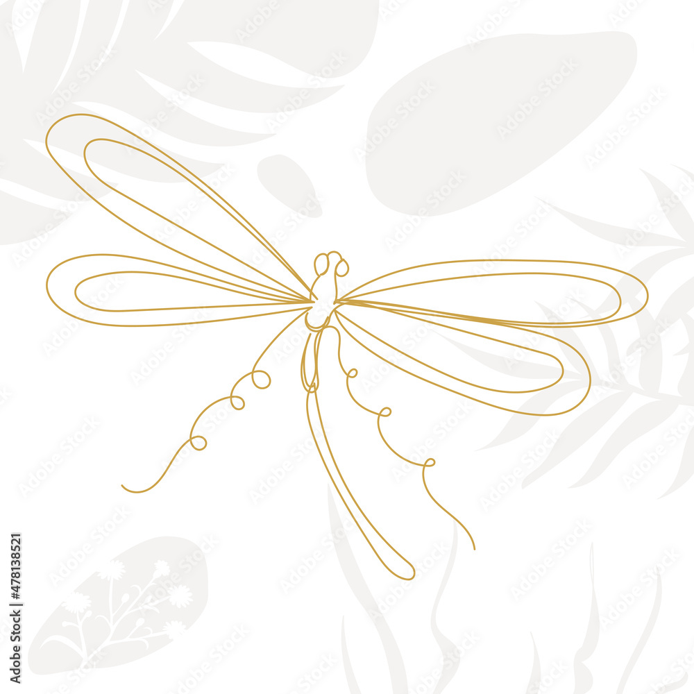 dragonfly drawing by line, on an abstract white background, vector ...