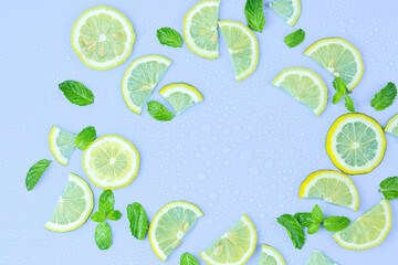  Fresh cut lemon and mint leaves on white background. Top view