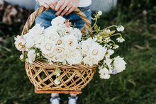 Woman Holds Woven Basket Of White Roses Outside
