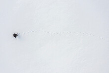 A Woman Walks Through Fresh Snow Leaving Footprints, Top Aerial View, Winter Outdoor Activity