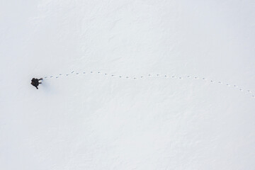 a woman walks through fresh snow leaving footprints, top aerial view, winter outdoor activity