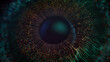 Concept of Futuristic Digital Biometric Security Screening of a Human Eye or Iris

