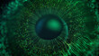 Digital human iris lines of green after an explosion scattering from a bright circle and forming a three-dimensional human eye model. 3D rendering animated abstract background in 4K
