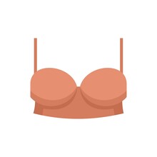 Lingerie Bra Icon Flat Isolated Vector