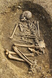 Fototapeta  - Skelet in bronzezeitlichem Gräberfeld