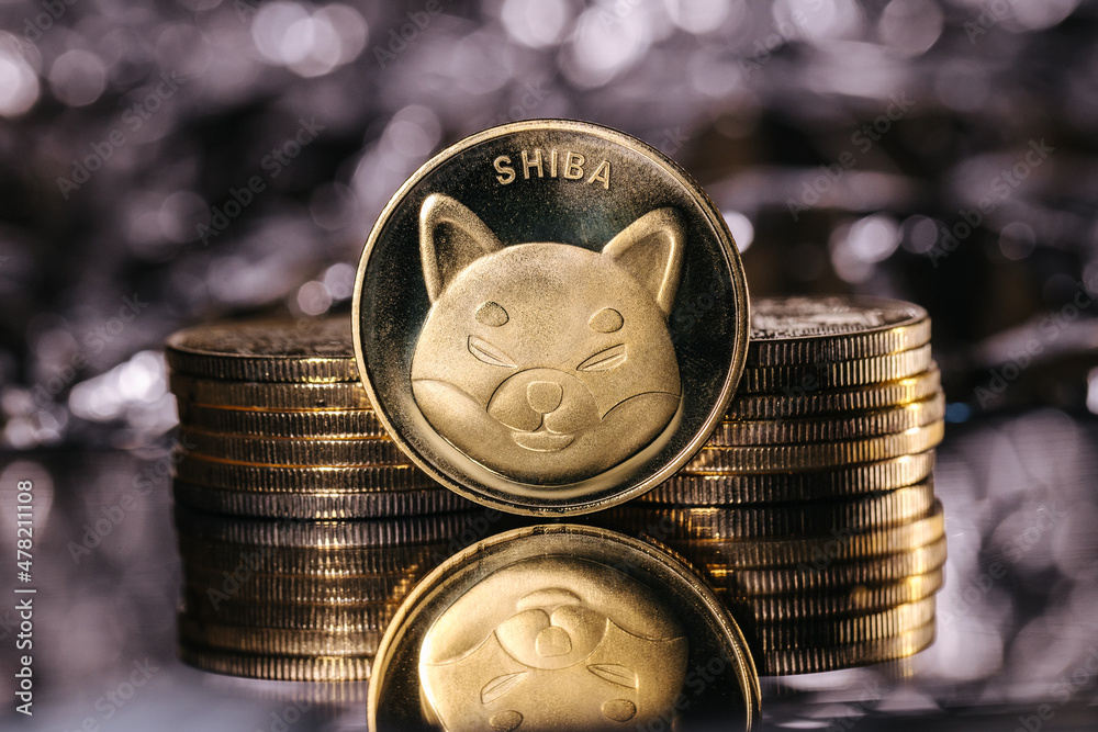 Shiba Inu cryptocurrency, physical coin in front of an abstract background