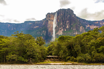 Wall Mural - Scenic view of world's highest waterfall Angel Fall in Venezuela