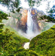 Wall Mural - Scenic view of world's highest waterfall Angel Fall in Venezuela