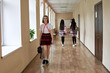 © Roman Akimov - high school student is walking down the corridor of the school. Anime style