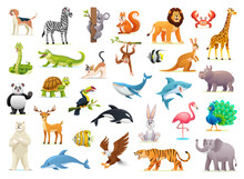 Set Of Wild Animal Cartoon Illustrations On White Background