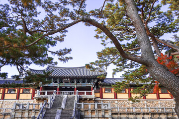 Wall Mural - Beautiful and colorful autumn Korean temple  Bulgulsa with yellow,orange and red leaves,