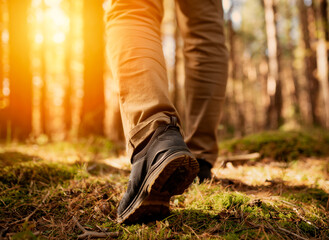 Canvas Print - hiking in the woods