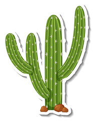 Wall Mural - saguaro cactus plant on white background