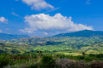 Naklejka na meble Panoramic View to the Green Trees and Mountains under Cloudy Blue Sky of the Omo River Valley, Ethiopia