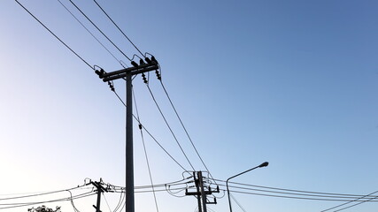 Wall Mural - Silhouette of electric poles with cables on poles. Electrical transmission line laying on concrete poles on evening blue sky background with copy space. Selective focus