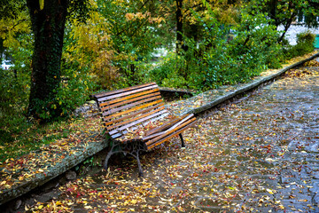 Wall Mural - Empty lonely bench with leaves in autumn park