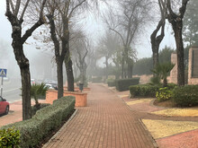 Fog In The City - 3