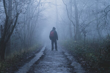 A Hiker Standing In A Spooky Forest. On A Eerie, Foggy Winters Day