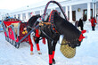 A black horse . The horse is harnessed to a sleigh. decorated with a red hat for Christmas