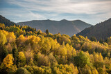 Fototapeta Do pokoju - autumn in the mountains, Terchova, Mala Fatra, Slovakia, Europe