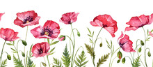Watercolor Hand Painted Seamless Banner With Red Flowers. Long Field With Poppie With Green Leaves. Greeting Card Design Bottom Element