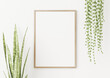 Wooden frame mockup in simple interior with trendy green snake plant and string of pearls on white background. 3D rendering, illustration